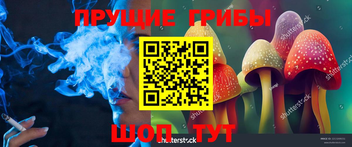 Сертолово  Галлюциногенные грибы мицелий  даркнет сайт  Вход с VPN 